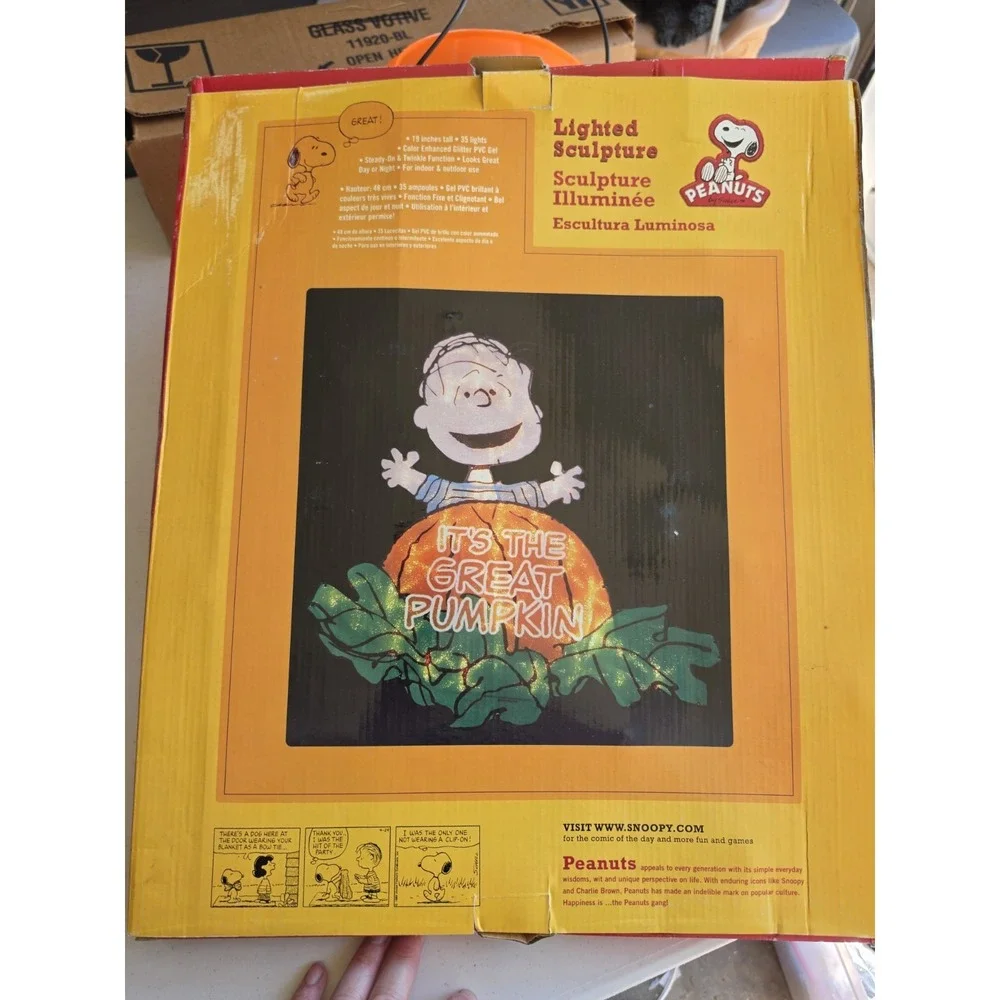 Peanuts Christmas 15